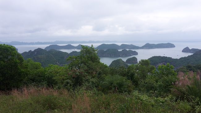 Viewpoint on Cat Ba