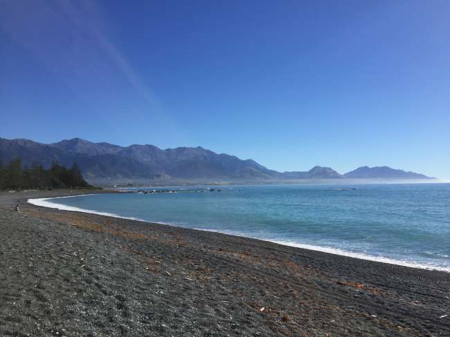 Die letzten Tage Neuseeland - Banks Peninsula, Kaikoura und Christchurch