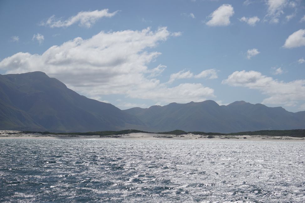 Hermanus ♥️