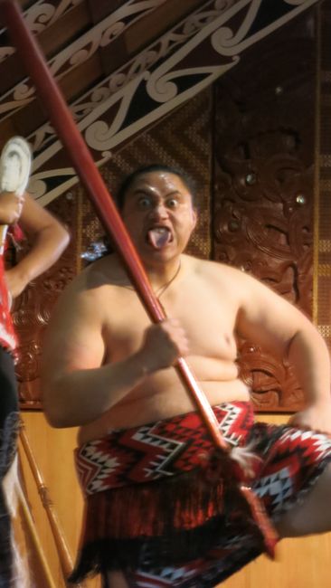 Do the Māoris suffer the same fate as the Aborigines?