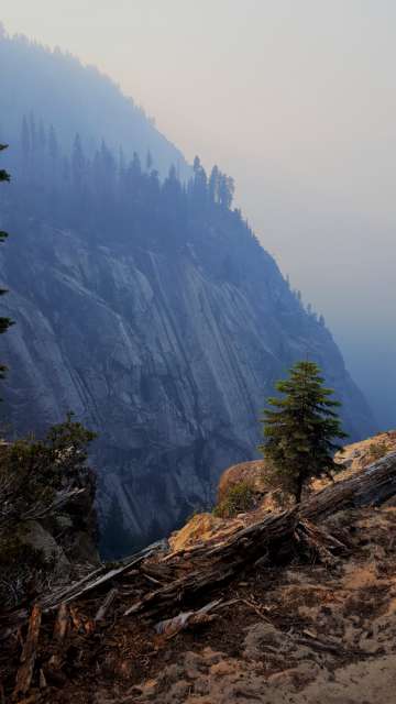 Yosemite National Park 18.07.17 - 20.07.17