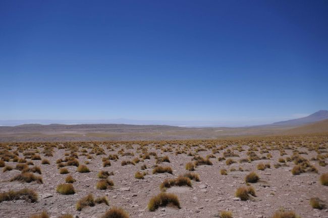 Blick auf Salar de Atacama