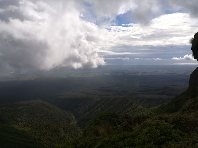 Blick in die Weiten des Waldes um den Mt Taranaki, im Hintergrund der Tasmanische Ozean