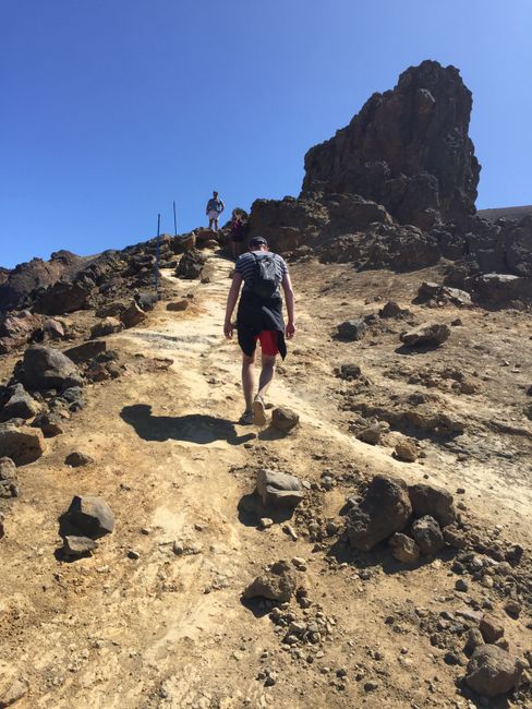 Family time Part 2 and the North Island of New Zealand