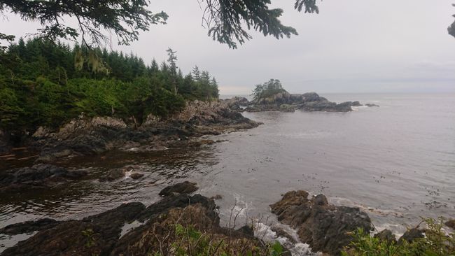 Wild Pacific Trail, Lighthouse Loop, Ucluelet
