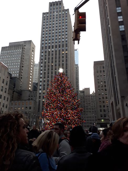 Weihnachtsbaum am Rockefeller Center (näher sind wir vor lauter Menschen nicht heran gekommen)