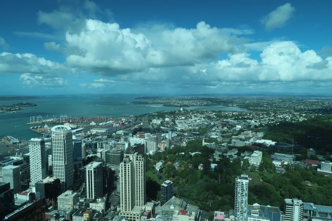 Auckland vom Skytower aus!