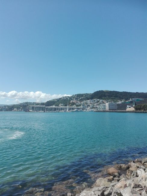 Wellington- 4 Tage in der Hauptstadt Neuseelands