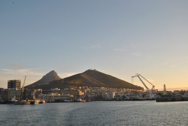 Cape Town mo te Tuarua (14.7.19)