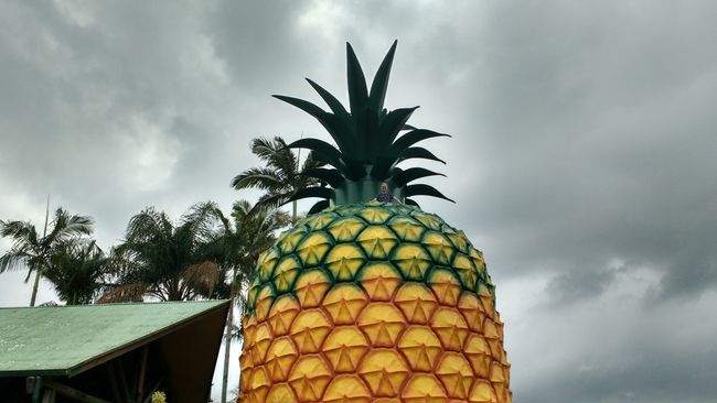 RT 2 - Big Fruits