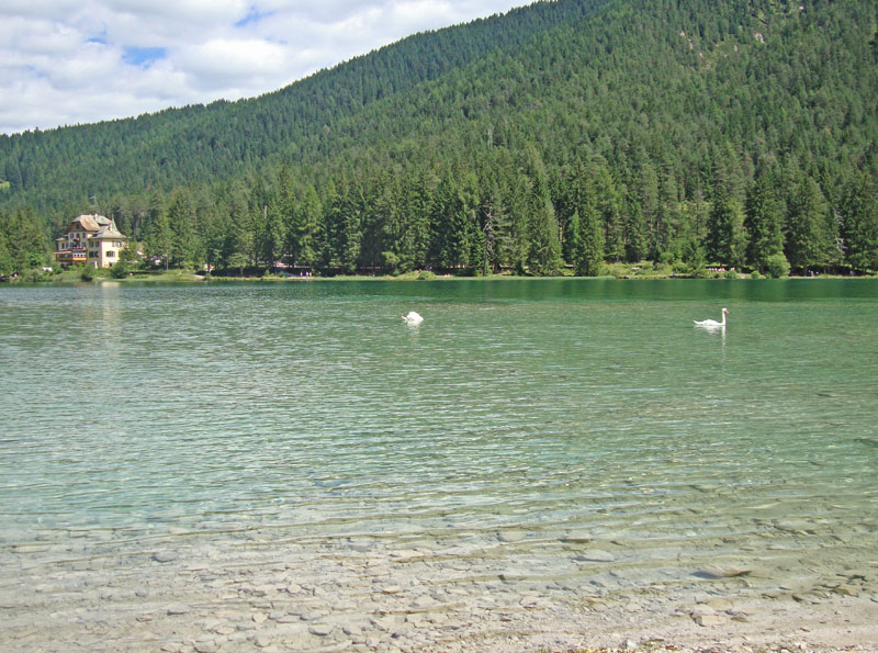 The greenish color of Lake Toblach
