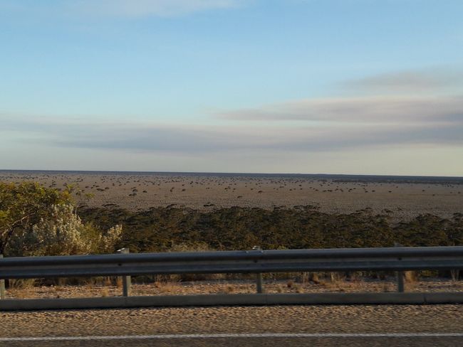 Roadtrip Tag 59 - Balladonia Track & the longest straight road in Australia