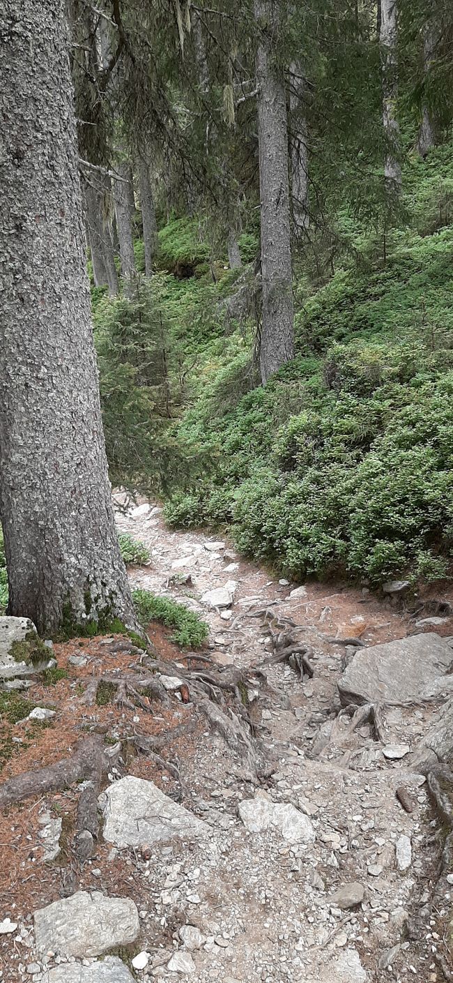 1,5 Routen heute