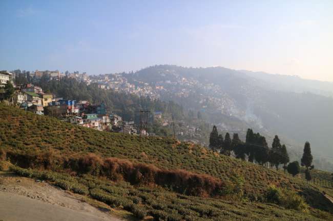 Tag 24 bis 29 Darjeeling - West Bengalen