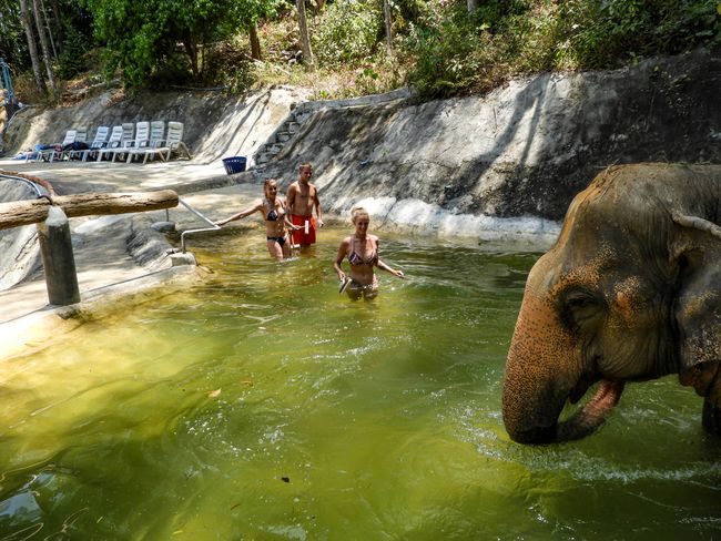 Tag 218 - Elephants and Freedom Beach