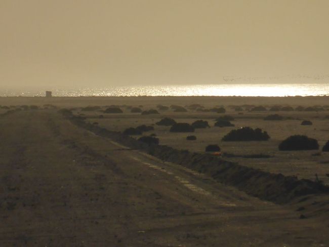 Road through the Desert