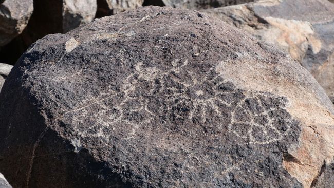 Saguaro National Park - Petroglyphs
