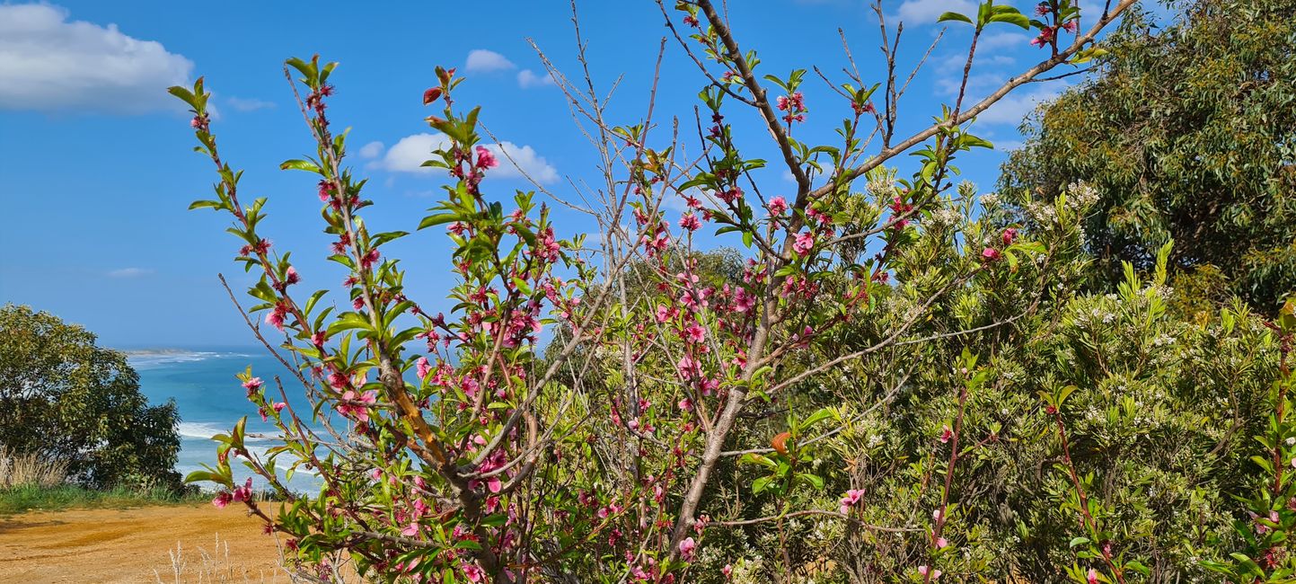 Aquí es primavera