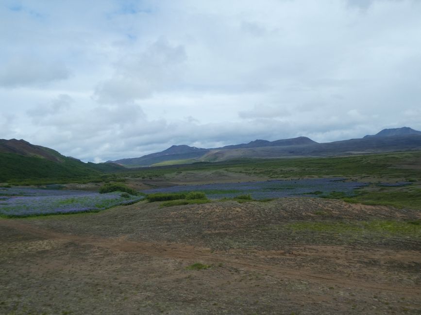 isländische Landschaft