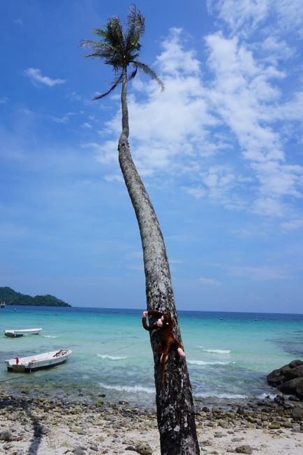 Pulau Weh - You beautiful paradise
