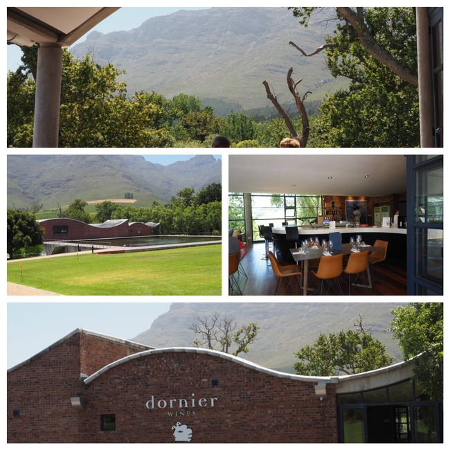 Stellenbosch (Dornier Wine Estate and Tokara)