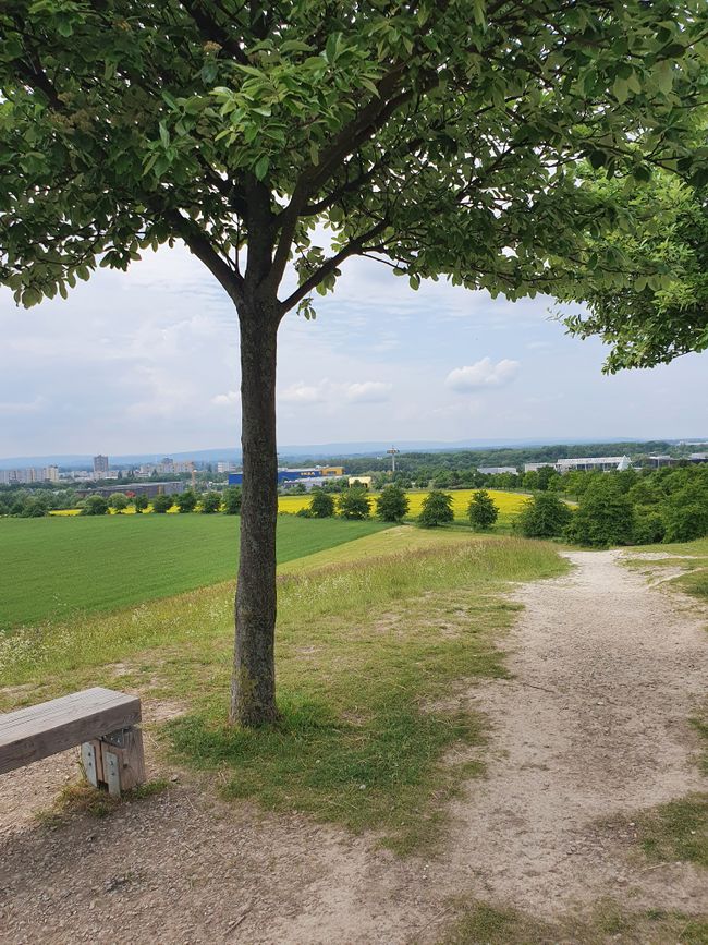 The Kronsberg offers space for chilling and picnicking