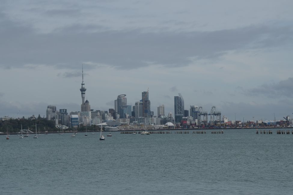 Blick nach Auckland