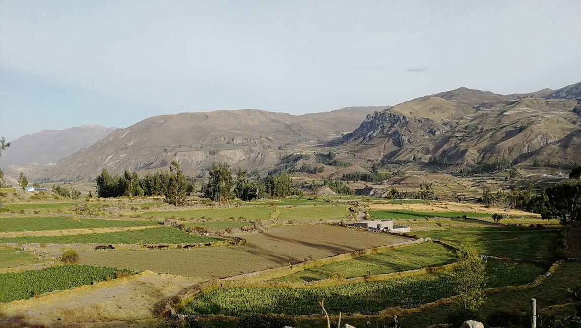 Арекипа ва Каньони Колка - Перу