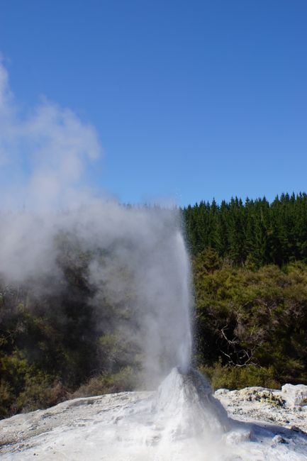 Wai-O-Tapu, Napier and the Lonely East Cape