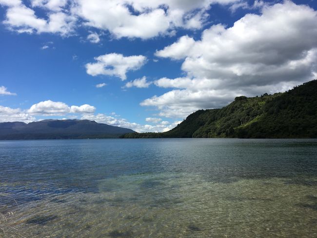 Seen bei Rotorua und Hobbingen