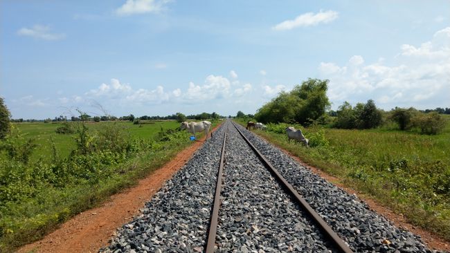 The tracks of the Bamboo Train