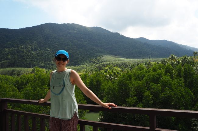 Aussicht von Turm in den Mangrovenwäldern 