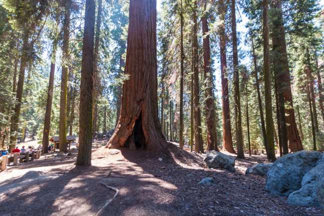 Tag 16: Sequoia Nationalpark