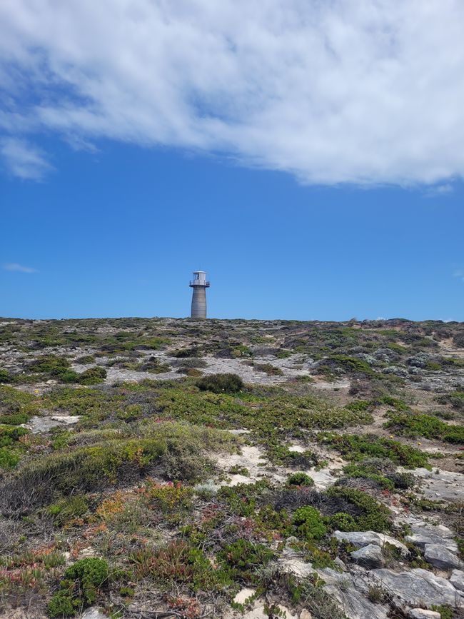 West Cape Lighthouse 