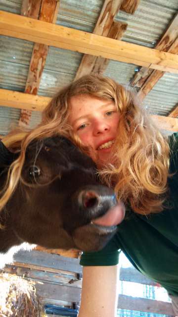 Haha the calf also wants to have some hair. (And what's really nice: there's no one here telling me I have to wear a jacket ;)