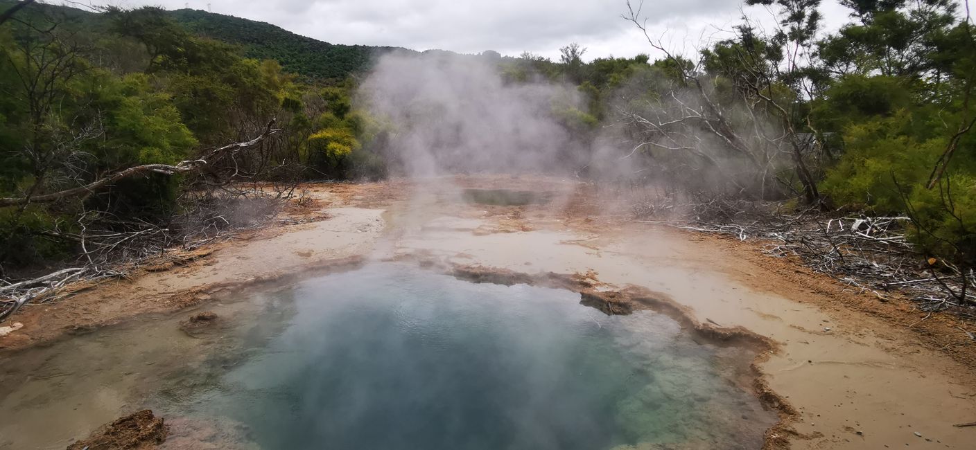 heiße Quellen in Taupo