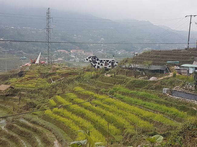 Sapa - in the mountains of Lao Cai
