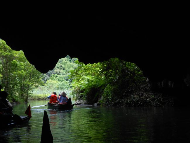 Bei King Kong in Ninh Binh