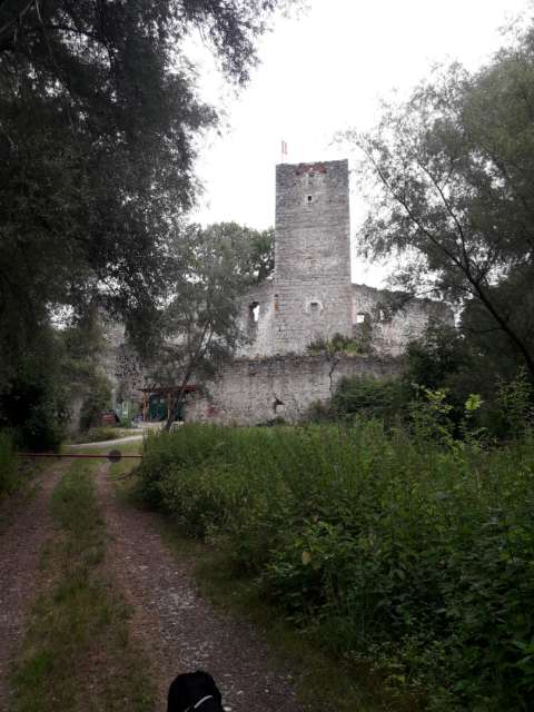 Spilberg ruin