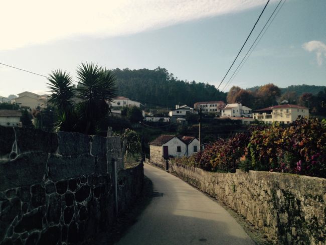 Über das Douro-Tal nach Figueira da Foz - 16. November