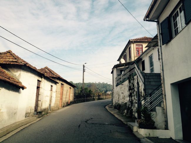 About the Douro Valley to Figueira da Foz - November 16