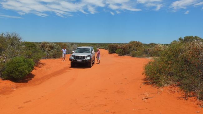 Off-road adventure in the Francois Peron National Park
