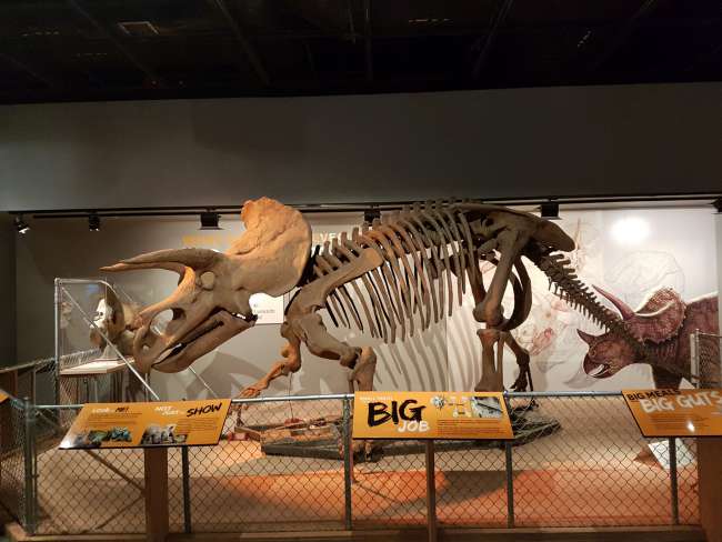 Impresiones del Museo Nacional de Historia Natural (incl. Diamante Hope)
