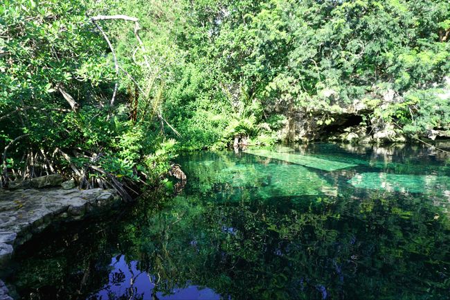 Mexiko - Excursion Cenotes - Deel 1