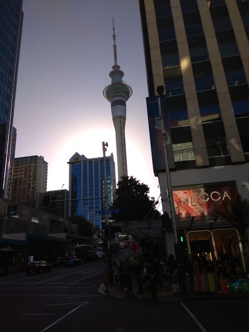 Auckland from below 😂