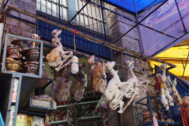 Lamaföten am Hexenmarkt