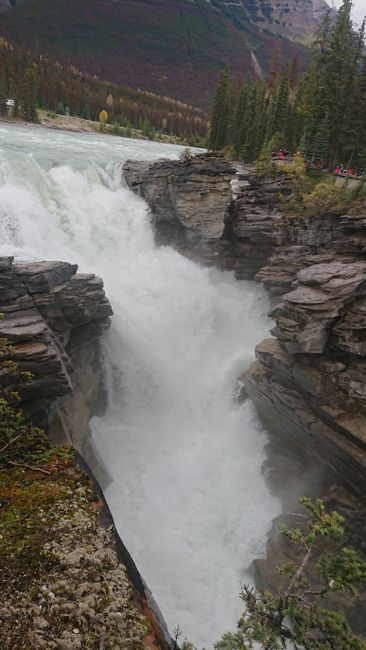 Athabasca Falls, Jasper National Park 