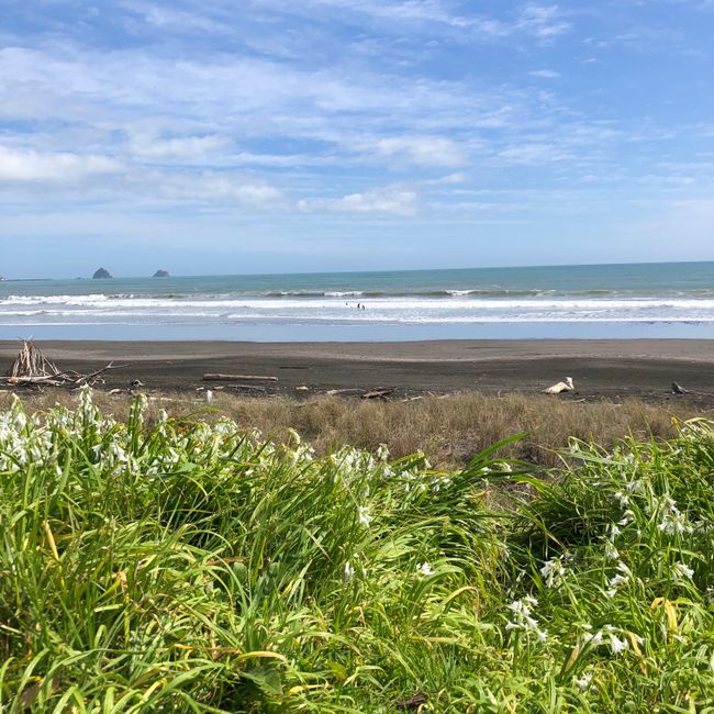 Tag 10: New Plymouth