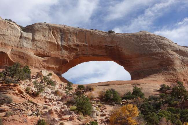 The Wilson Arch