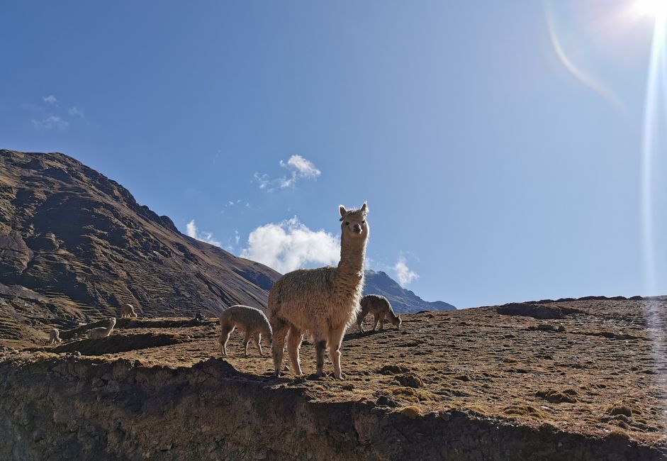 Bere a wɔde ma nnipa baanu... Peru, Cusco - Wɔ kan Inkafo ahemman no mu